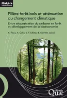 Filière forêt-bois et atténuation du changement climatique, Entre séquestration du carbone en forêt et développement de la bioéconomie