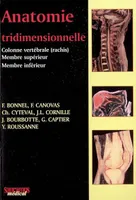 Anatomie tridimensionnelle, colonne vertébrale (rachis), membre supérieur, membre inférieur