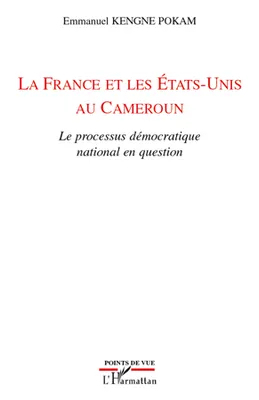 La France et les Etats-Unis au Cameroun, Le processus démocratique national en question