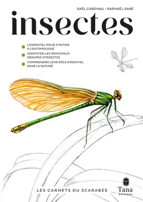 Les carnets du scarabée - Insectes