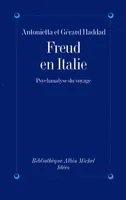 Freud en Italie, Psychanalyse du voyage