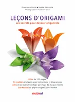 Leçons d'Origami Les secrets pour devenir origamiste