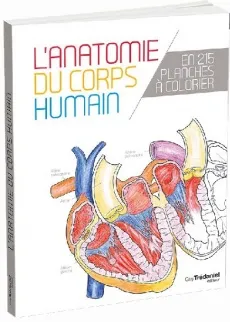 Livres Santé et Médecine Médecine Généralités L'anatomie du corps humain, en 25 planches à colorier Collectif