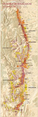Carte du vignoble de Bourgogne : La Grande Côte (Affiche roulée n°26)