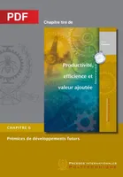 Prémices de développements futurs (Chapitre PDF), Chapitre 6 Productivité, efficience et valeur ajoutée