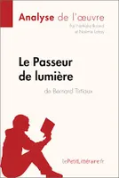 Le Passeur de lumière de Bernard Tirtiaux (Analyse de l'oeuvre), Analyse complète et résumé détaillé de l'oeuvre