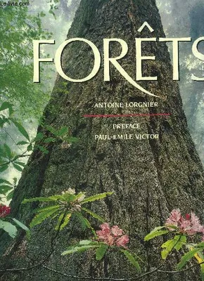 Forets