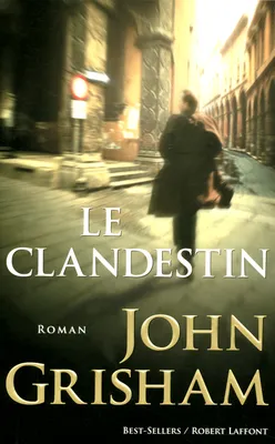 Le Clandestin, roman