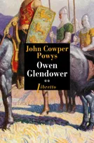 2, Owen Glendower, Tome 2, Les forêts de Tywyn