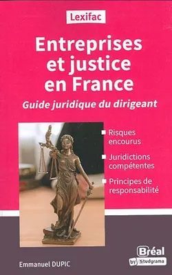 Entreprises et  justice en France, Guide juridique du dirigeant