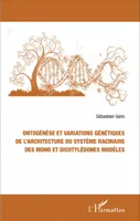 Ontogénèse et variations génétiques de l'architecture du système racinaire des mono et dicotylédones modèles