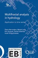 Multifractal Analysis in Hydrology, Application to Time Series