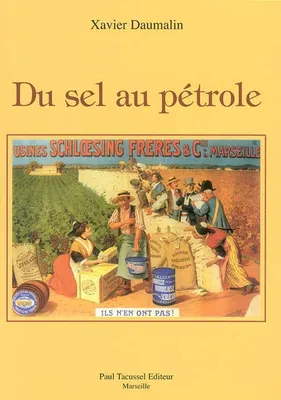 Du sel au pétrole - l'industrie chimique de Marseille-Berre au XIXe siècle, l'industrie chimique de Marseille-Berre au XIXe siècle