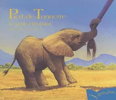 PIED-DE-TONNERRE LE PETIT ELEPHANT