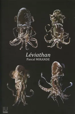 Léviathan, [catalogue des] photographies et dessins réalisées [sic] dans le cadre d'une résidence d'artiste au domaine d'abbadia à hendaye en 2010