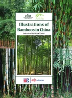 Illustrations of bamboos in China