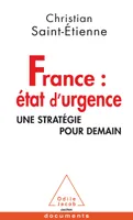 France : état d'urgence, Une stratégie pour demain