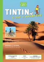 Tintin - C'est l'aventure 13