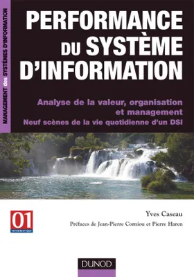 Performance du système d'information - Analyse de la valeur, organisation et management, analyse de la valeur, organisation et management