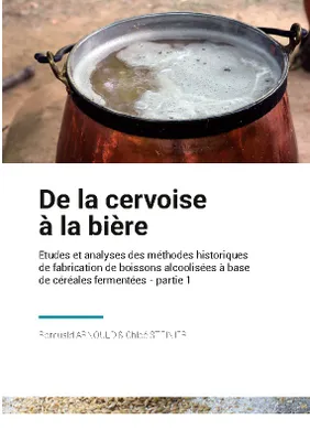 De la Cervoise à la Bière, Etudes et analyses des méthodes historique de fabrication de boissons alcoolisées à base de céréales fermentées