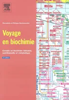 Voyage en biochimie, circuits en biochimie humaine, nutritionnelle et métabolique