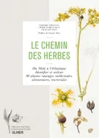 Le chemin des herbes - Du Midi à l'Atlantique : identifier et utiliser 80 plantes sauvages médicinales, alimentaires, tinctoriales
