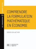 Comprendre la formulation mathématique en économie - Ebook PDF
