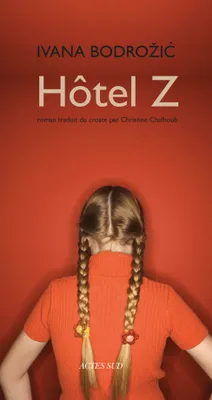 Hôtel Z, roman