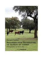 REGARDER POUR RECONNAÎTRE LE TAUREAU DE COMBAT