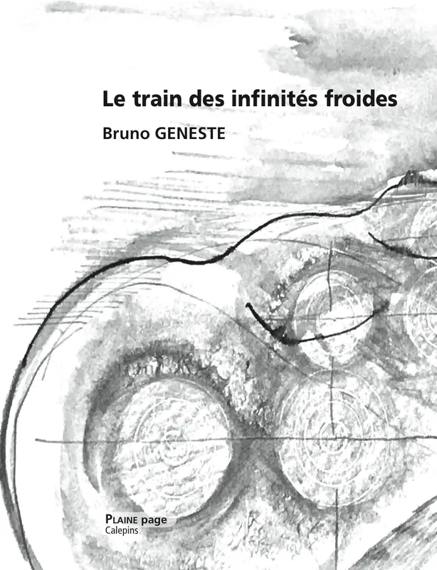 Le train des infinités froides Bruno Geneste