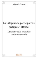 La Citoyenneté participative : pratique et attentes, L'Exemple de la révolution  tunisienne et arabe