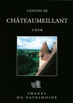 Canton De Chateaumeillant N°189, Cher