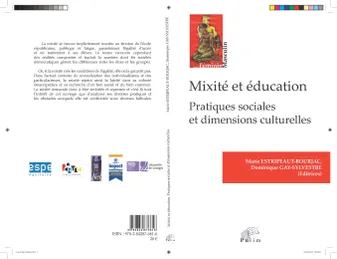 Mixité et éducation, Pratiques sociales et dimensions culturelles
