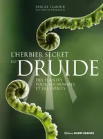 L'herbier secret du druide, Des plantes pour les hommes et les esprits