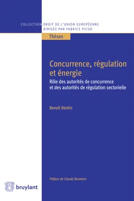 Concurrence, régulation et énergie, Rôle des autorités de concurrence et des autorités de régulation sectorielle