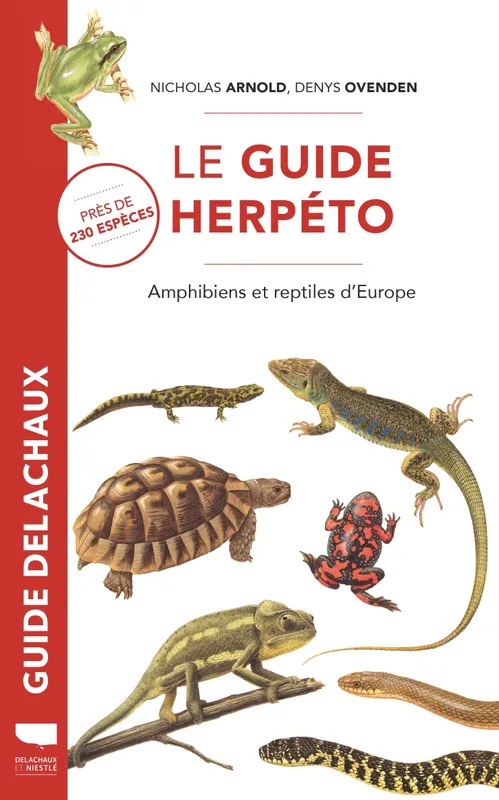 Livres Écologie et nature Nature Faune Le Guide herpéto Nicholas Arnold, Denys Ovenden