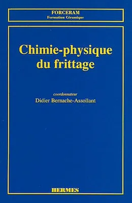 Chimie-physique du frittage