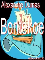 Bontekoe