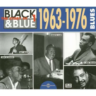 THE STORY OF THE BLUES 1963 1976 ANTHOLOGIE SUR DOUBLE CD AUDIO