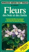 Fleurs des bois et des forêts, comment identifier avec précision les fleurs des bois et des forêts, et reconnaître les espèces protégées