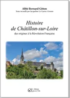 Histoire de Châtillon-sur-Loire, Des origines à la révolution française