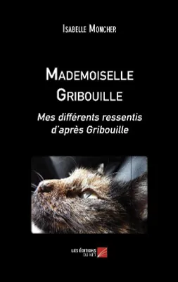 Mademoiselle Gribouille, Mes différents ressentis d'après gribouille