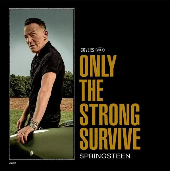 CD, Vinyles Pop, Rock, Folk Only The Strong Survive ~ Cd Album Bruce Springsteen