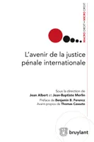 L'avenir de la justice pénale internationale