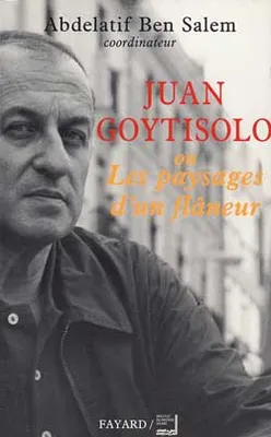 Juan Goytisolo, Ou Les paysages d'un flâneur