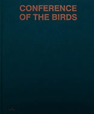 Sybren Vanoverbergen Conference of the Birds /anglais