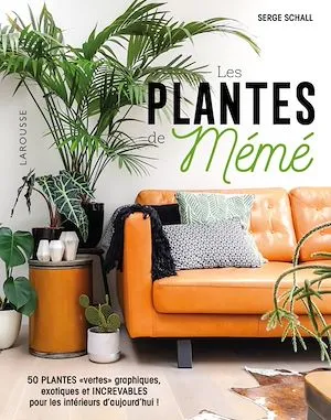 Les plantes de Mémé