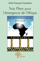 Trois Piliers pour l'émergence de l'Afrique, Avec le Cameroun comme point focal