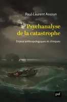 Psychanalyse de la catastrophe, Enjeux anthropologiques et cliniques