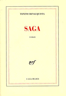 Saga, roman